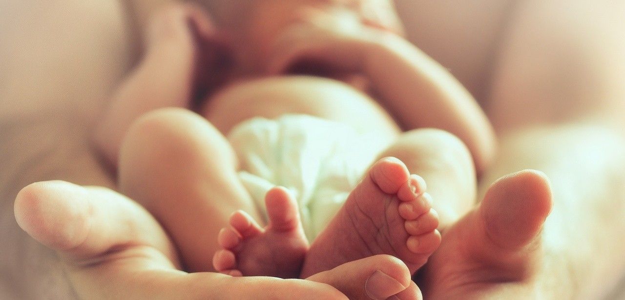 Zusammenhang zwischen Geburtsgewicht und Fettlebererkrankung bei jungen (Foto: AdobeStock - BazziBa 118232145)